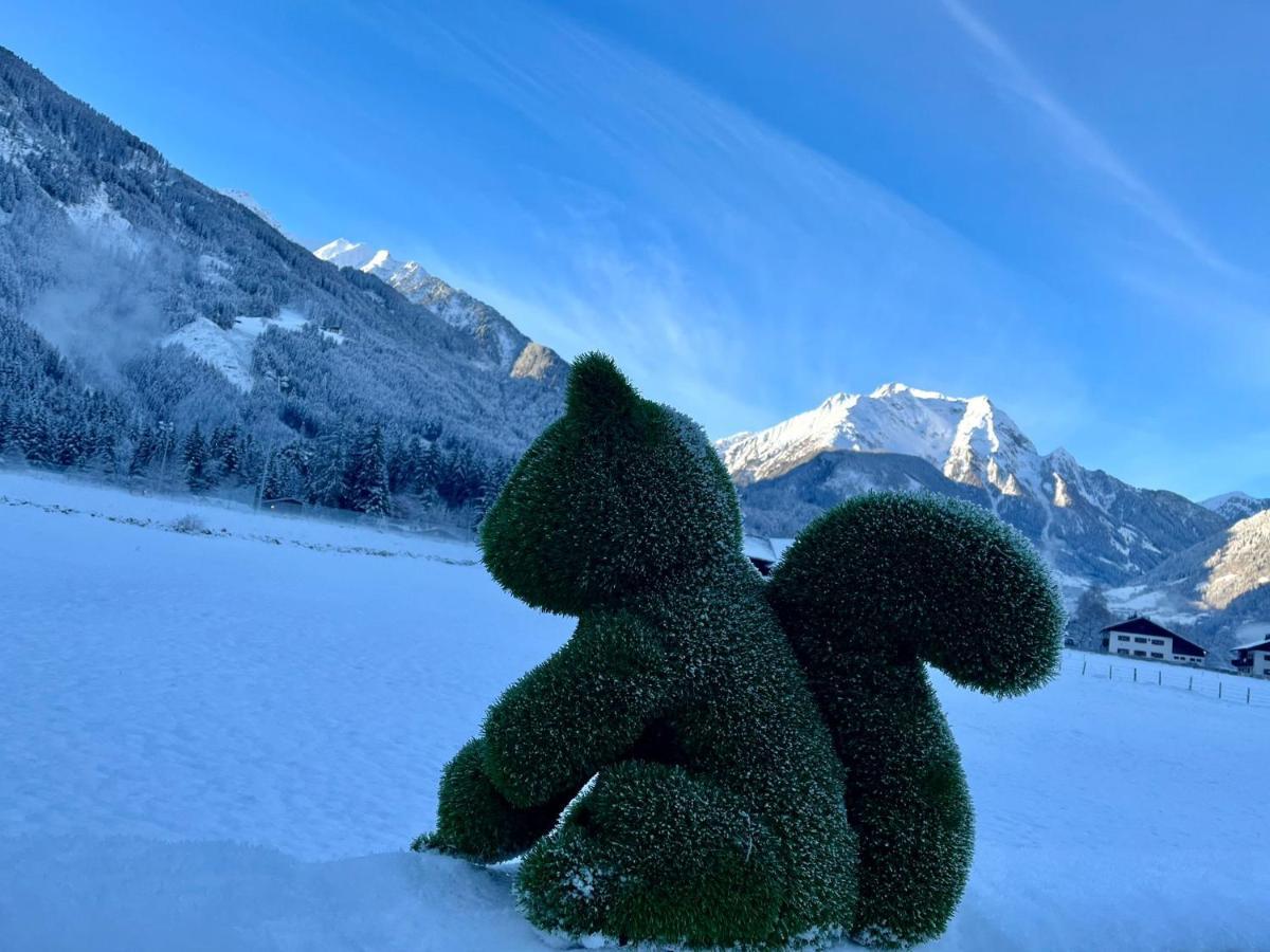 Ferienwohnung Rita Kroell Mayrhofen Exteriér fotografie